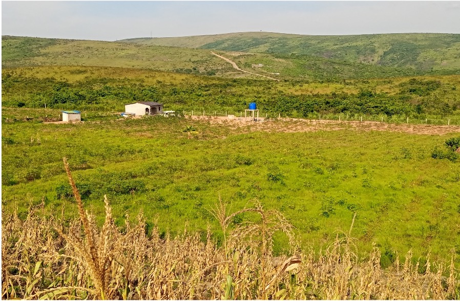 BCP program image: farm banner