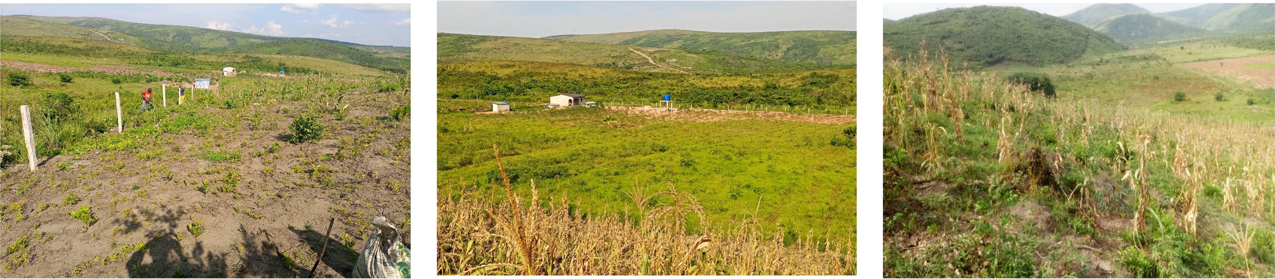 BCP photo: farm1